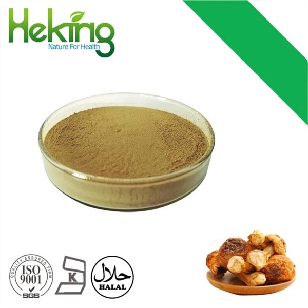 Εκχύλισμα Agaricus Blazei