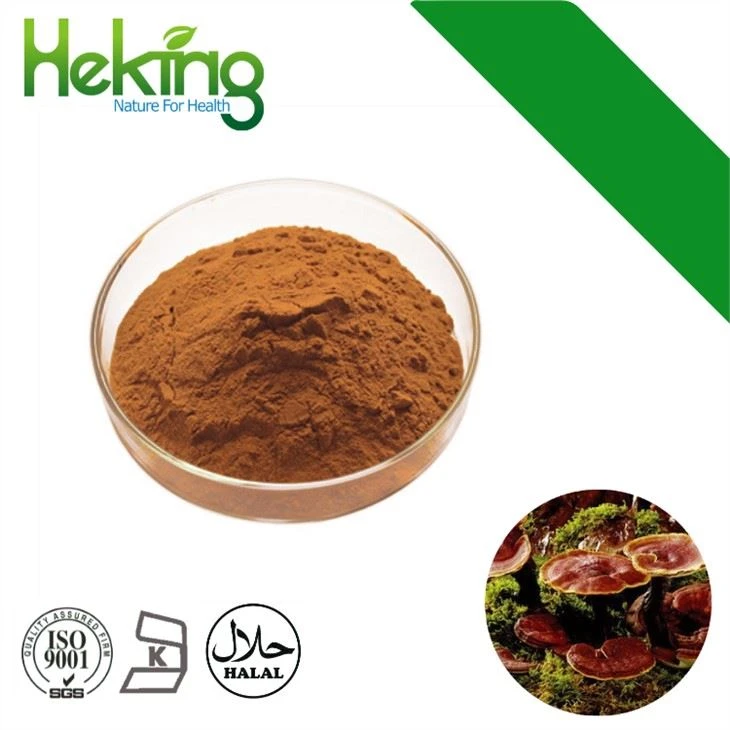 Ganoderma Lucidum Powder